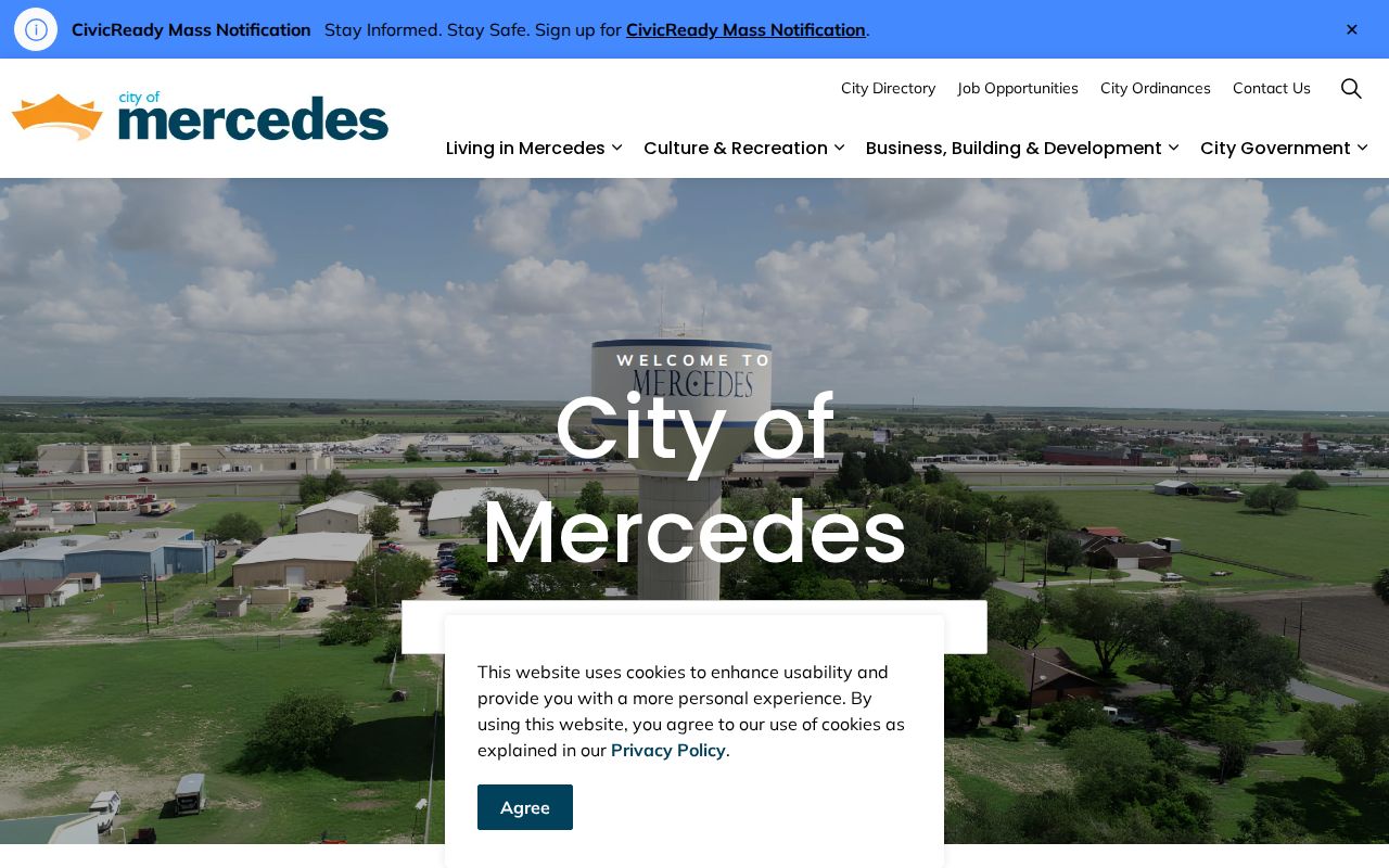 Mercedes court docket official city website in Cameron County